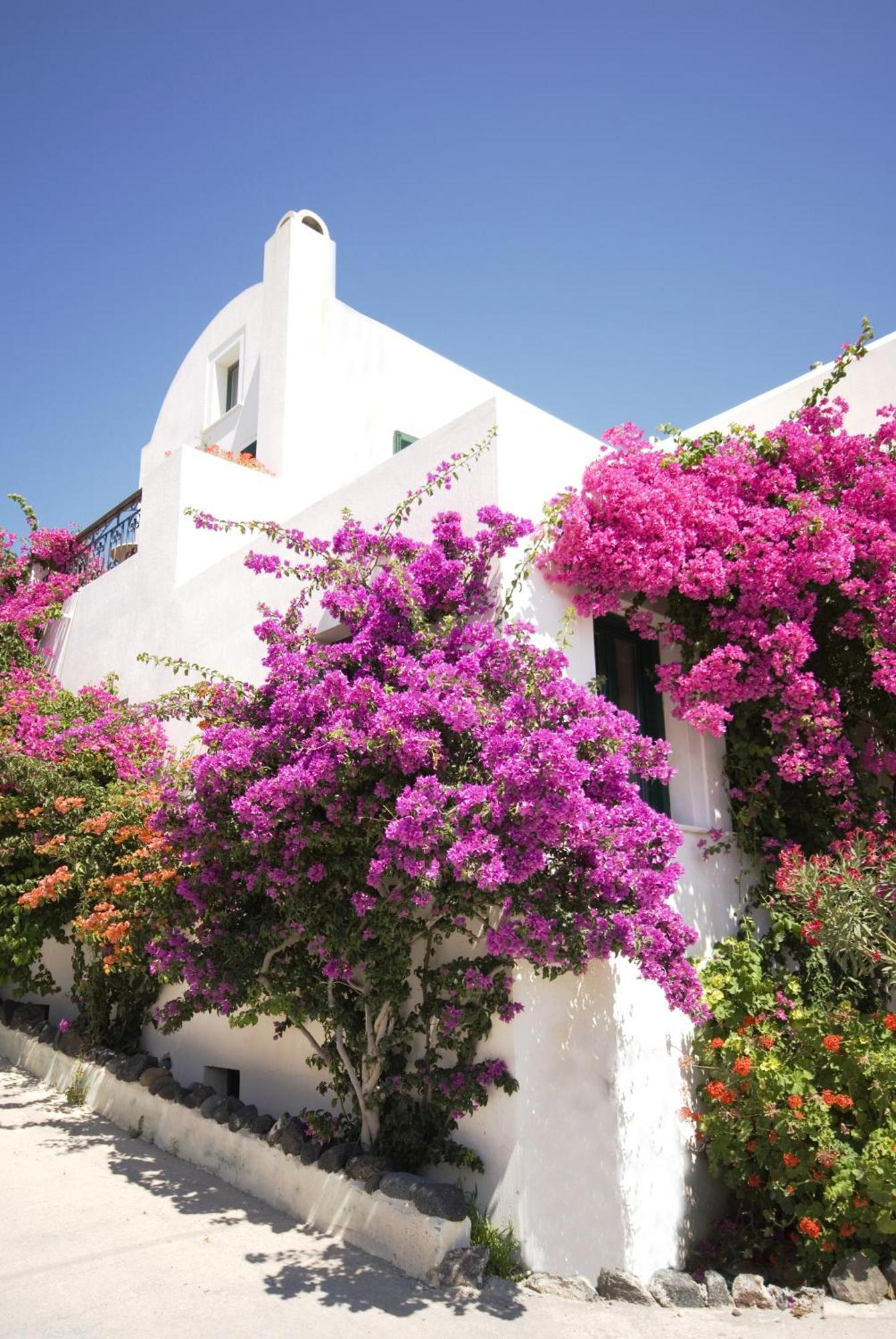 Costa Marina Villas Fira  Exterior photo